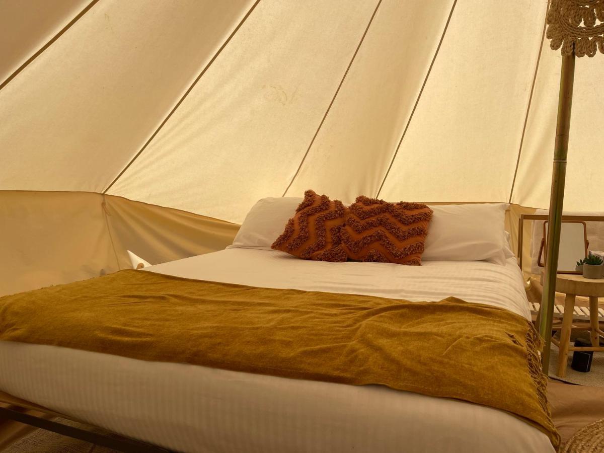 Triple Creek Guest House - Barossa Region Seppeltsfield ภายนอก รูปภาพ
