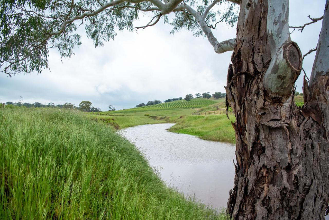 Triple Creek Guest House - Barossa Region Seppeltsfield ภายนอก รูปภาพ
