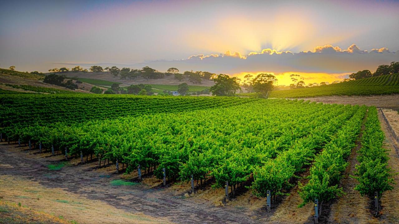 Triple Creek Guest House - Barossa Region Seppeltsfield ภายนอก รูปภาพ