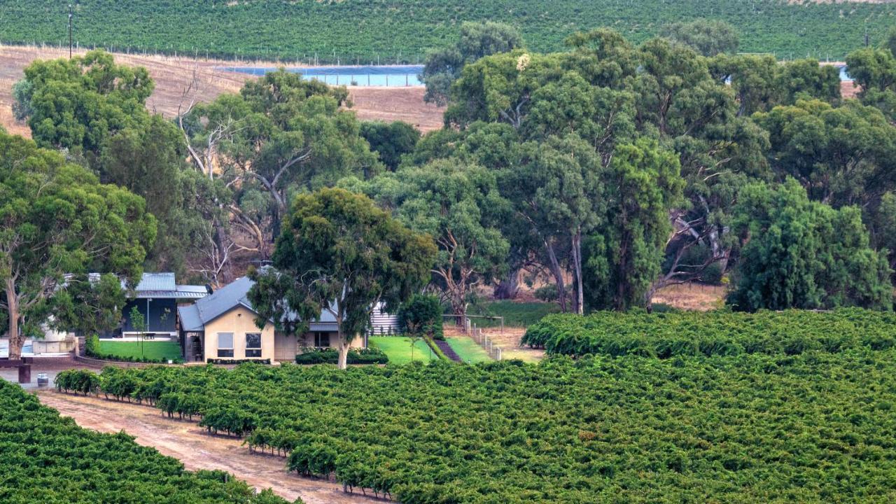 Triple Creek Guest House - Barossa Region Seppeltsfield ภายนอก รูปภาพ